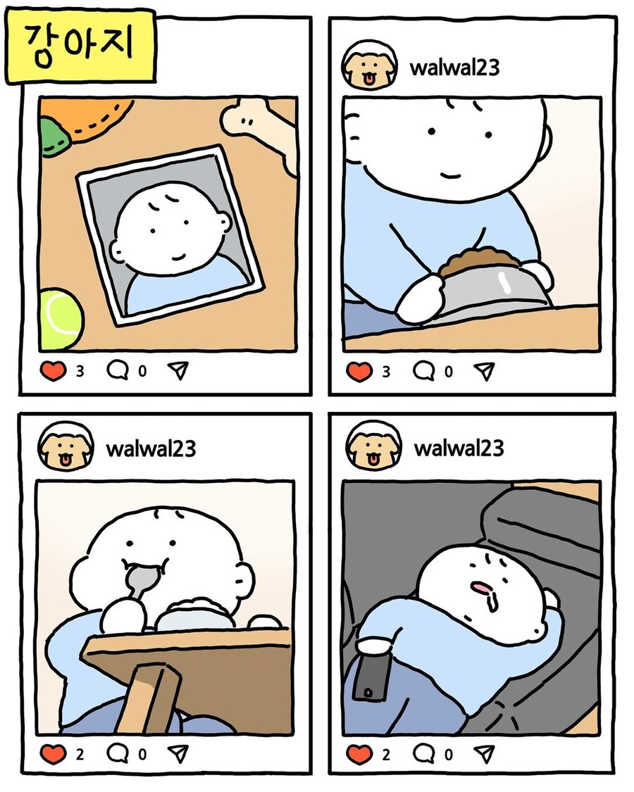 동물들의 인스타그램.jpg_7.jpg