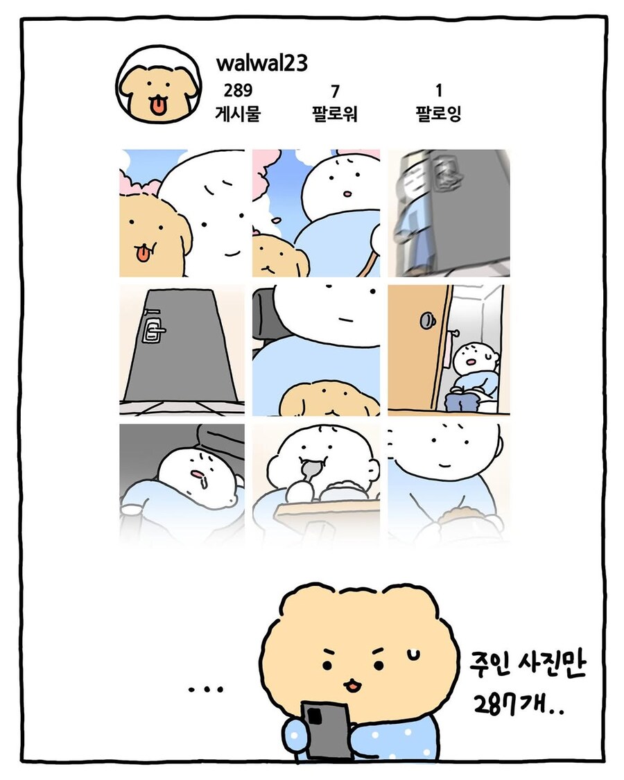 동물들의 인스타그램.jpg_10.jpg