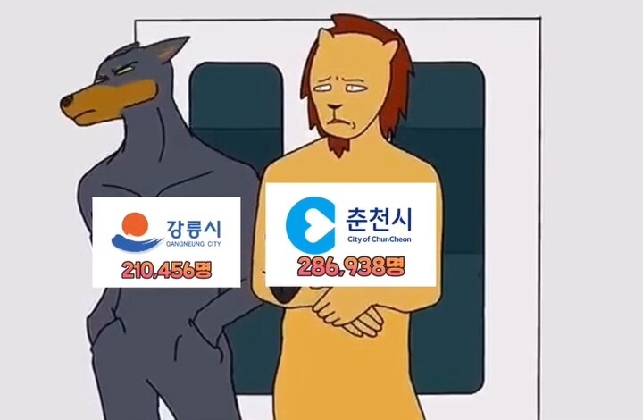 강원도 인구순위 밈_3.jpg
