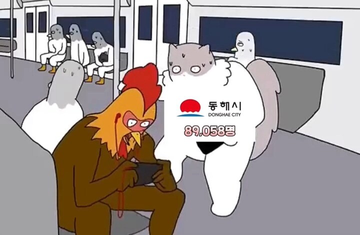 강원도 인구순위 밈_10.jpg