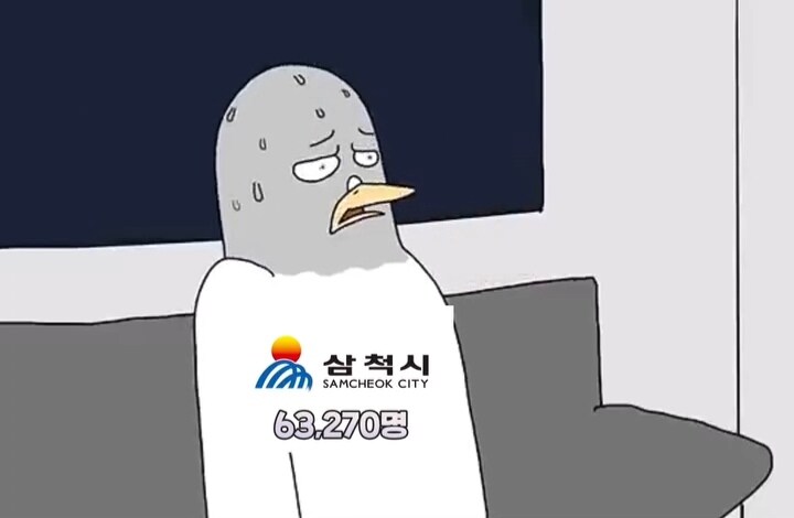 강원도 인구순위 밈_12.jpg