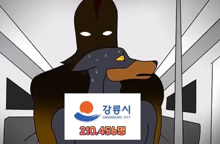 강원도 인구순위 밈_14.jpg