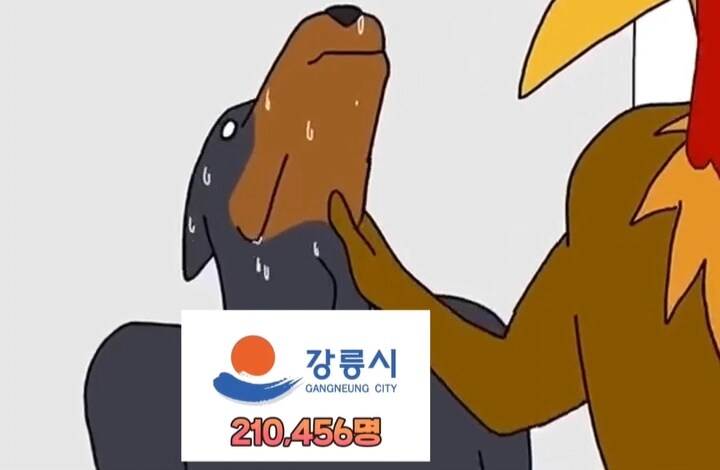 강원도 인구순위 밈_15.jpg