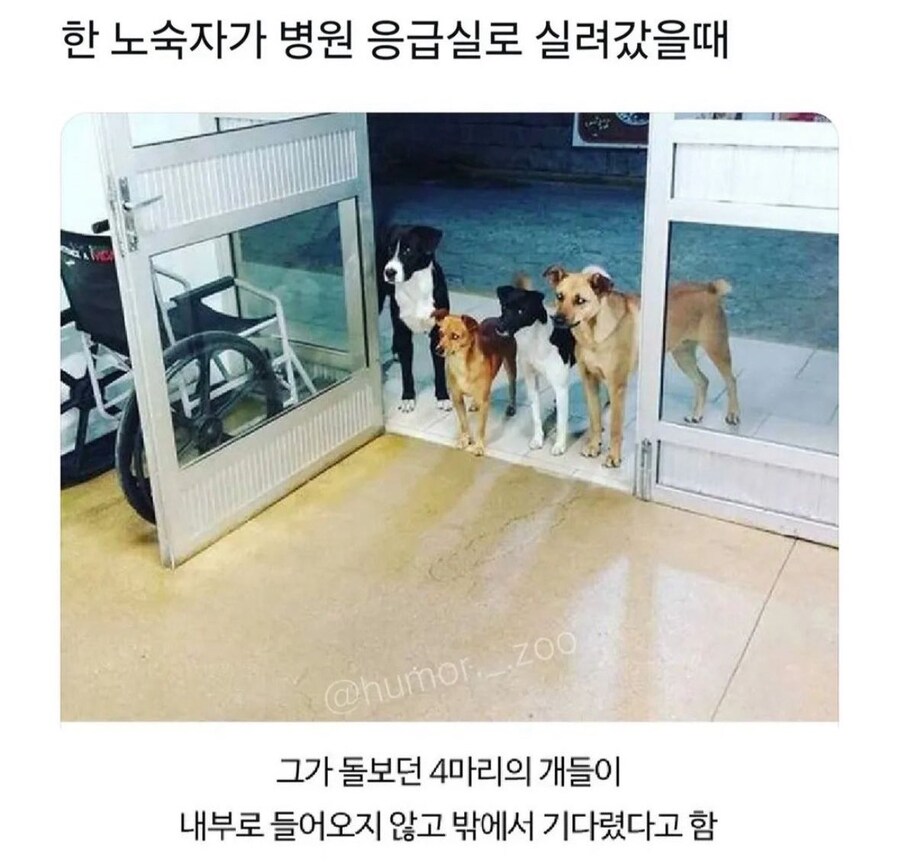 한 노숙자가 응급실로 실려갔을때_1.jpg