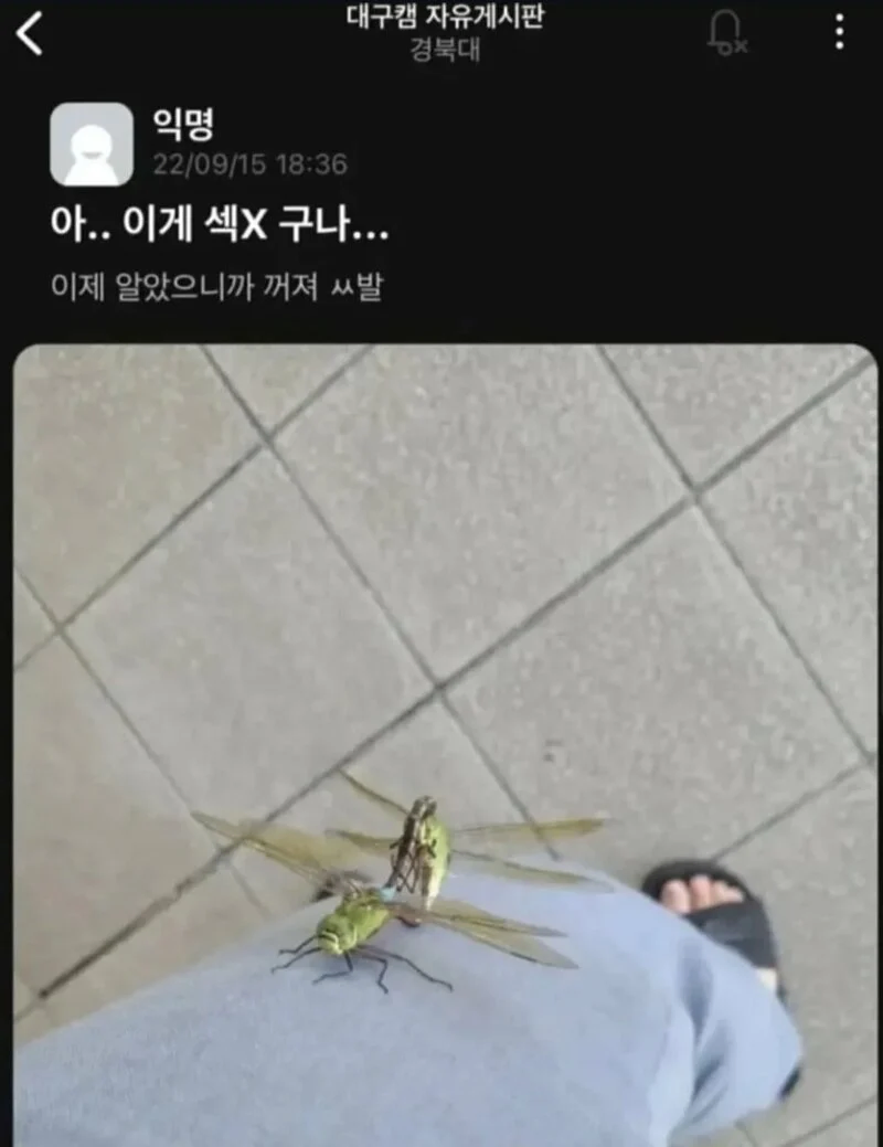 이게 ㅅㅅ구나..._1.webp