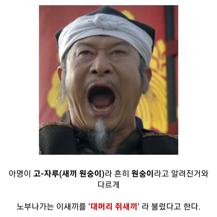 오다 노부나가가 불렀던 히데요시 별명_1.jpg