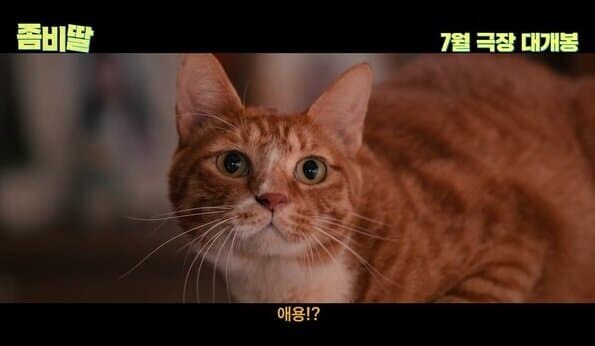 좀비딸 실사화 싱크로.jpg_10.jpg