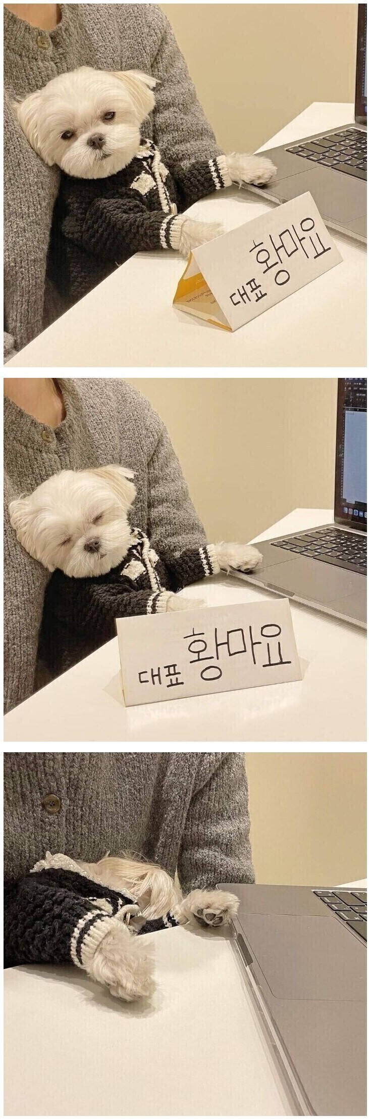 출근하자마자 잠자는 사장.jpg_1.jpg