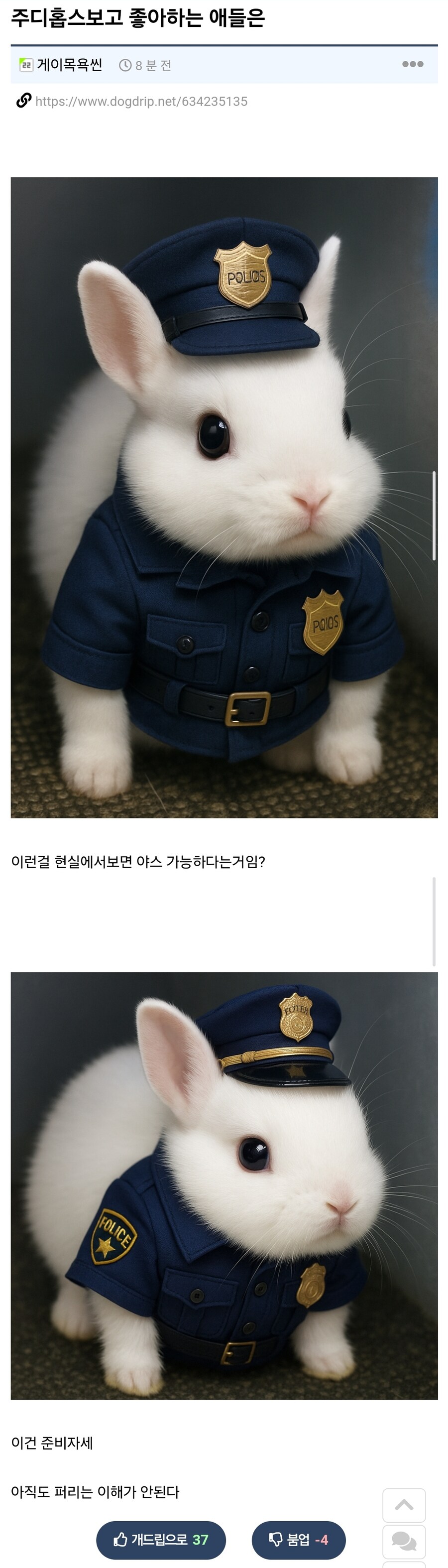??: 주디홉스보고 가능한 애들은_1.jpg