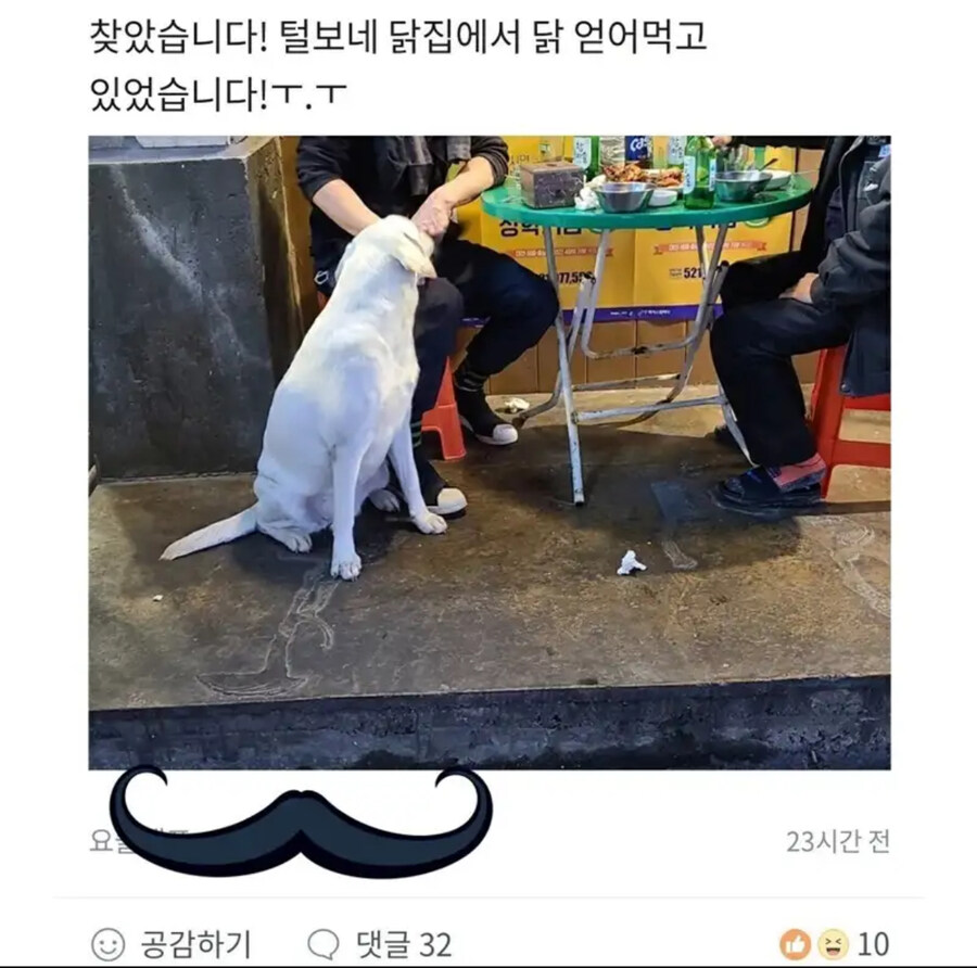 집나간 강아지가 찾아간곳_2.jpg