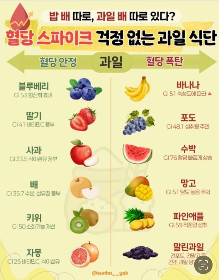 혈당 걱정없는 과일 식단_1.jpg