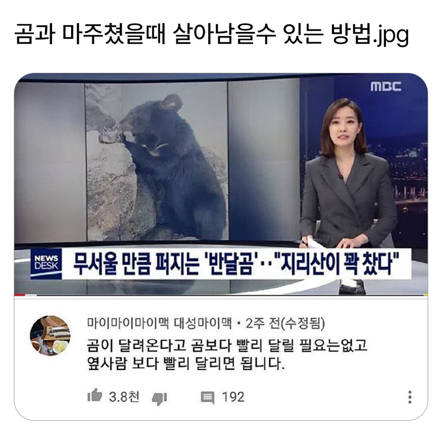 곰과 마주쳤을때 살아남는 방법_1.jpg