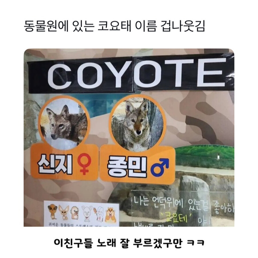 동물원 코요태 이름_1.jpg