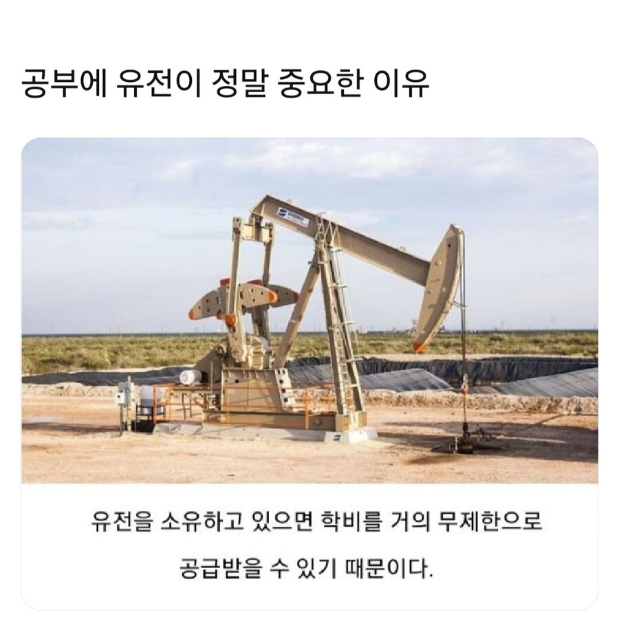 공부에 유전이 중요한 이유_1.jpg