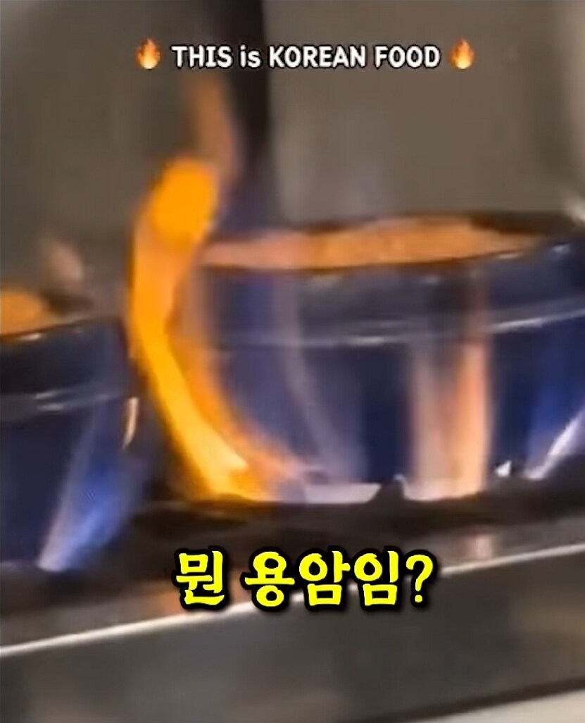 홀리쉣! 코리안들은 이런걸 먹는다코?!_1.jpg