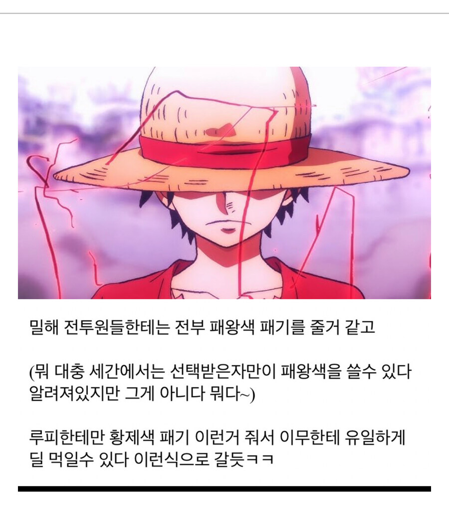 원피스 새로운 패기 추측글_1.jpg