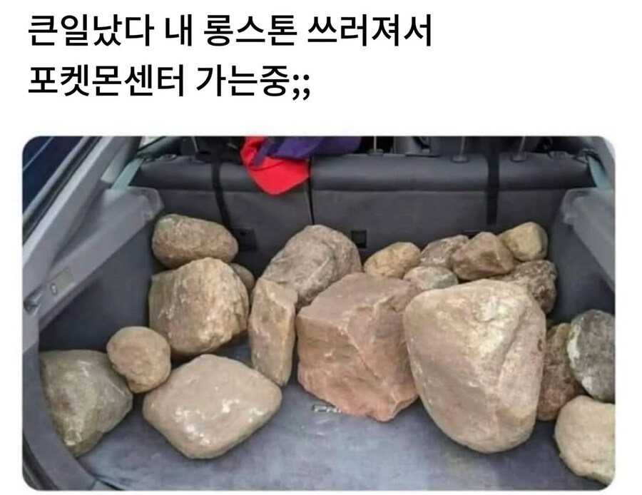 내 롱스톤 쓰러져서_1.jpg