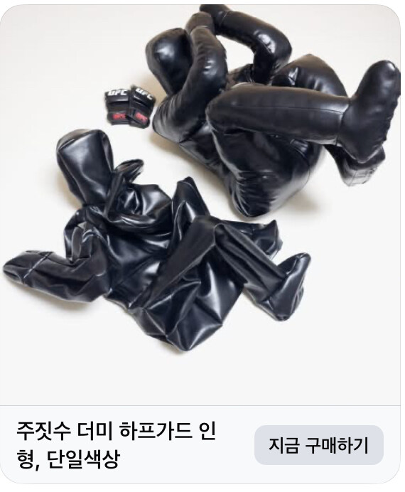 주짓수용 인형임_1.jpg