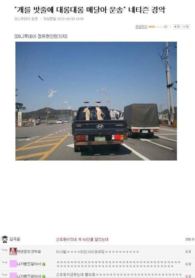 개피_1.jpg