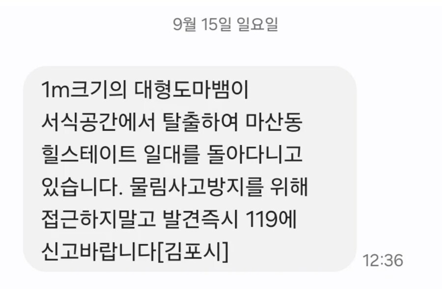 1m 크기의 대형도마뱀이 돌아다니고 있습니다_1.jpg