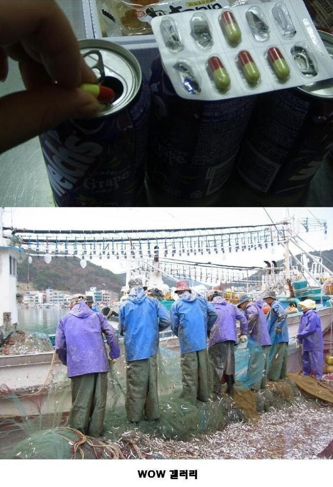 웰치스의 원래목적.jpg_2.jpg