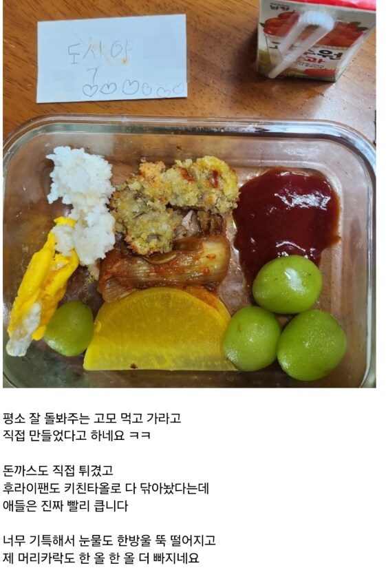 고모를 위해 도식아(도시락)을 준비한 조카.jpg_1.png