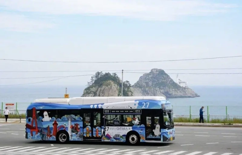 호불호 갈리는 부산 버스 디자인_3.webp