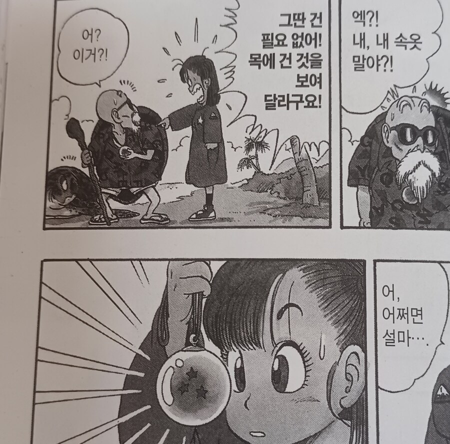 부르마가 귀여운 이유_3.jpg
