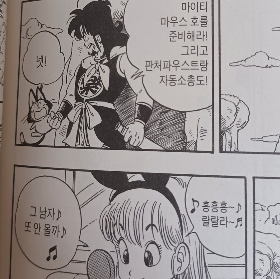부르마가 귀여운 이유_7.jpg
