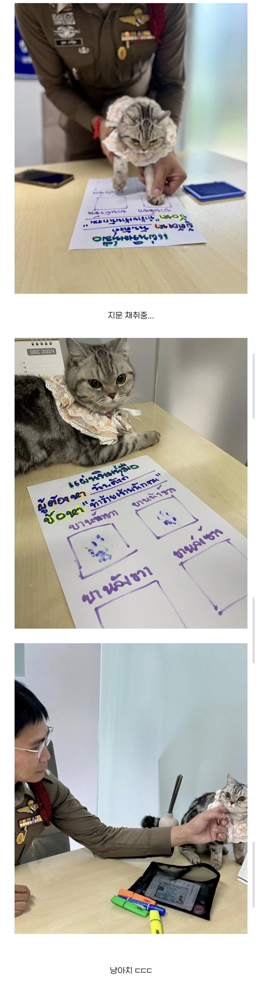 태국에서 난리난 경찰관 폭행범 머그샷 ㄷㄷ_2.jpg