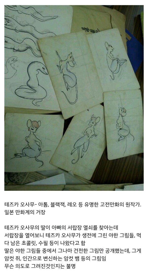 데즈카 오사무의 사심이 보이는 블랙잭의 한 장면.jpg_2.png