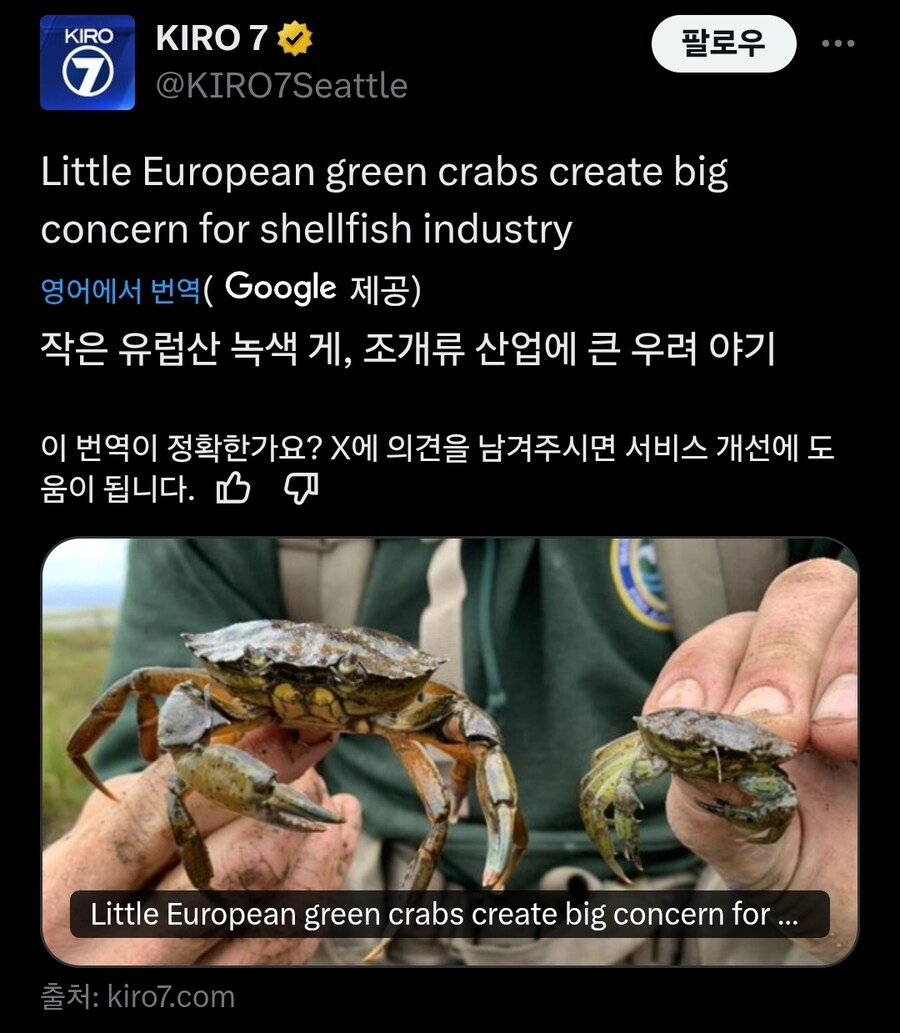 미국 생태계를 위협중이라는 유럽산 녹색게_1.jpg