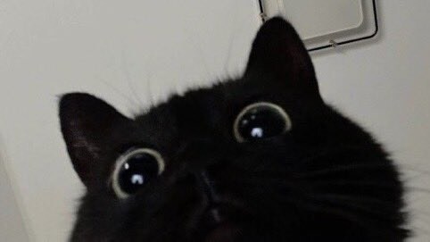 좋은것을 주지_4.jpg