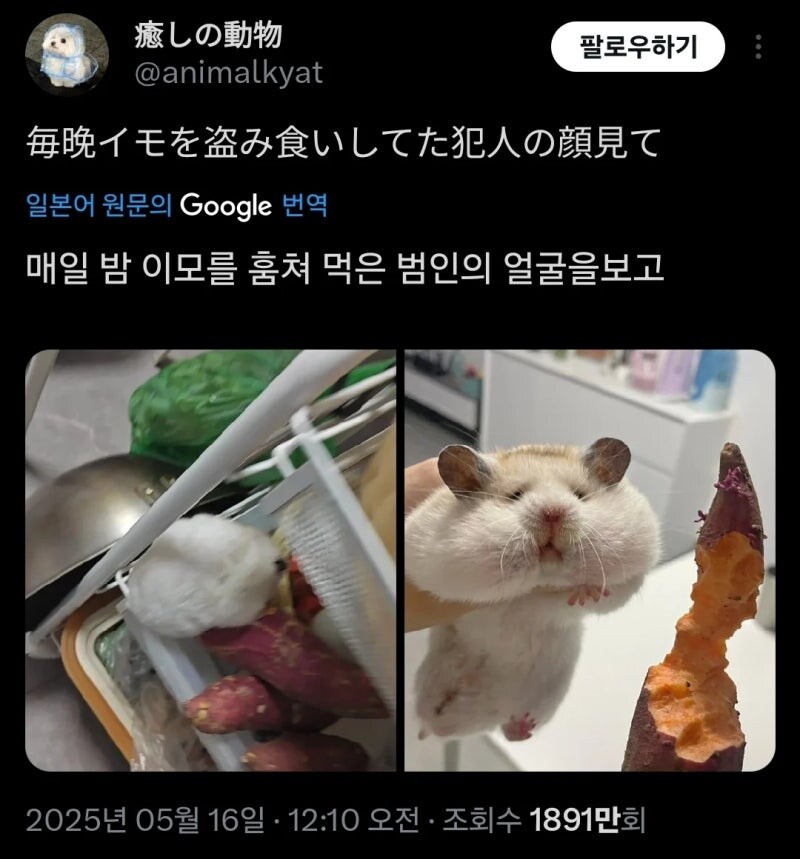 행복해 보이는 범인의 얼굴_3.jpg
