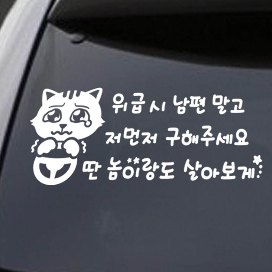 이혼 유발 초보운전 스티커_1.jpg