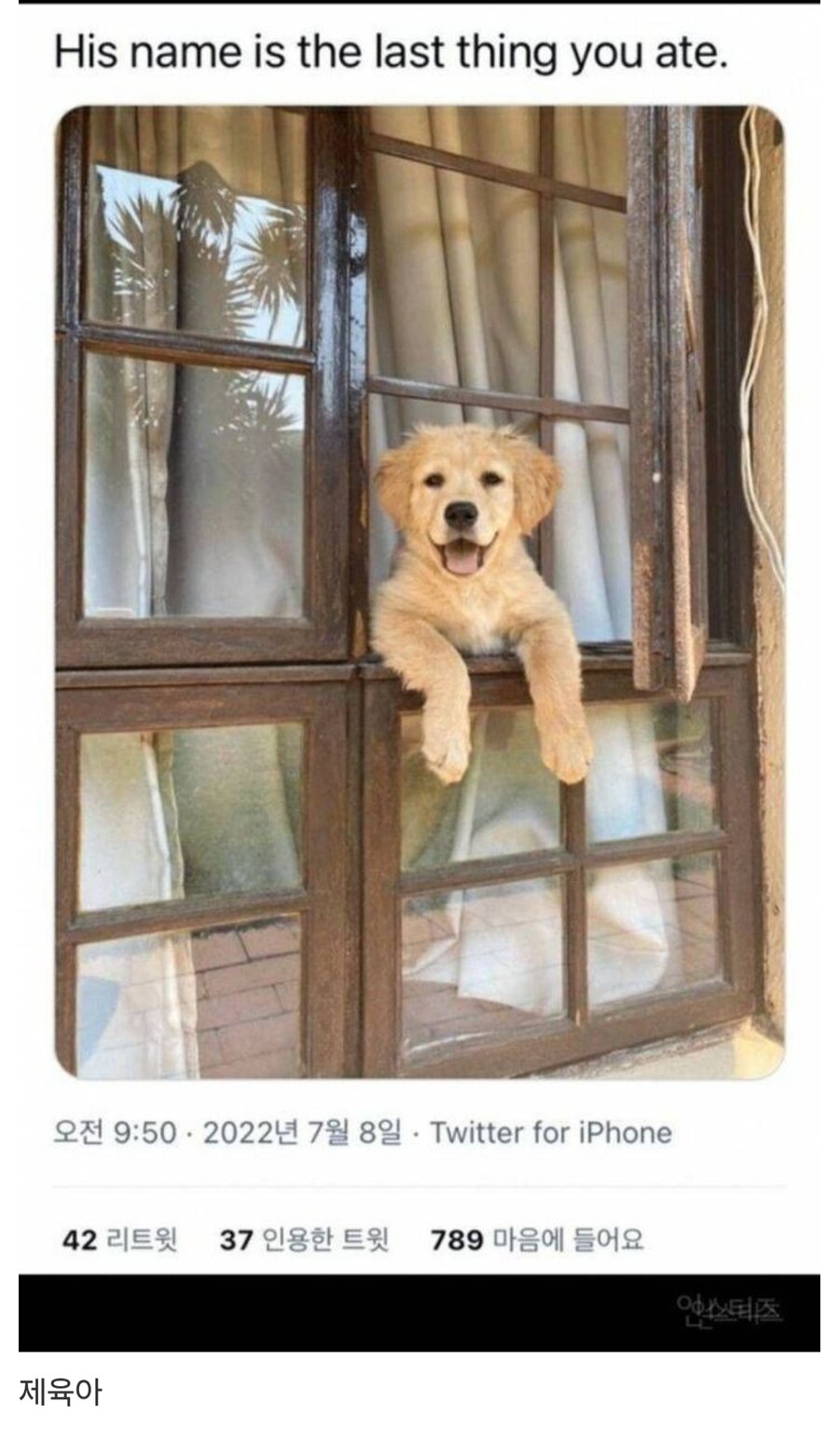 이 강아지의 이름은 당신이 마지막에 먹은 음식 이름입니다_1.jpg