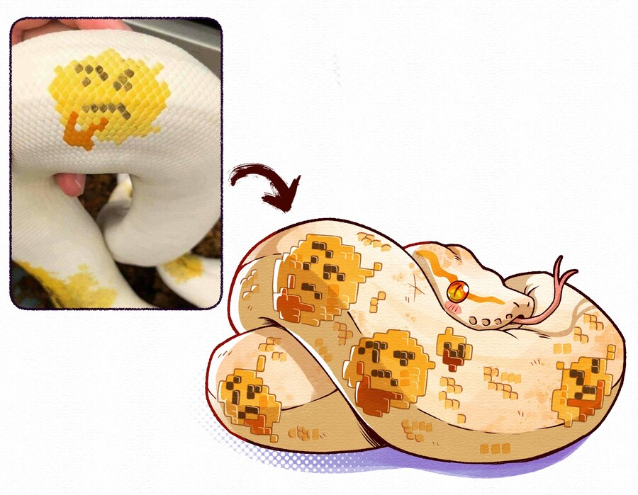 뱀의 무늬를 보고 못 참은 주인._1.jpg