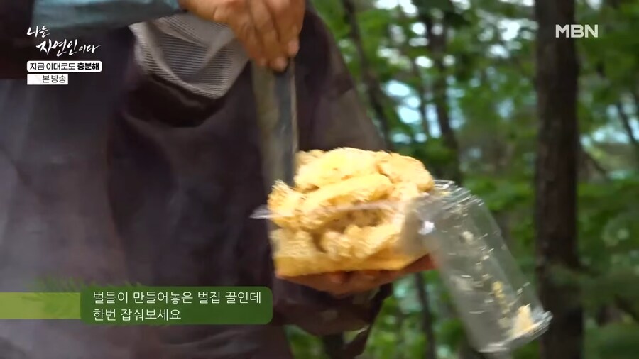 자연인이 재미있는 이유.jpg_2.png