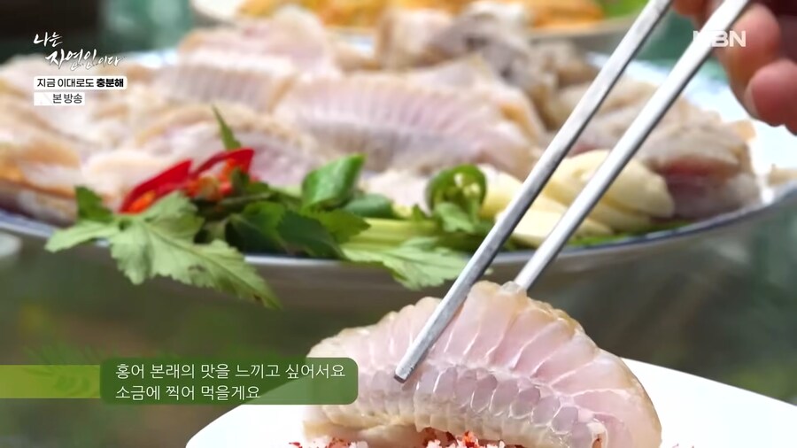 자연인이 재미있는 이유.jpg_8.png