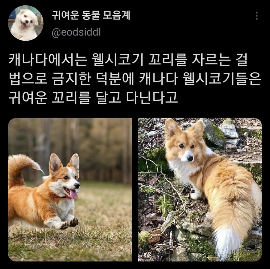 옳게 된 나라란 그런 거야_1.webp