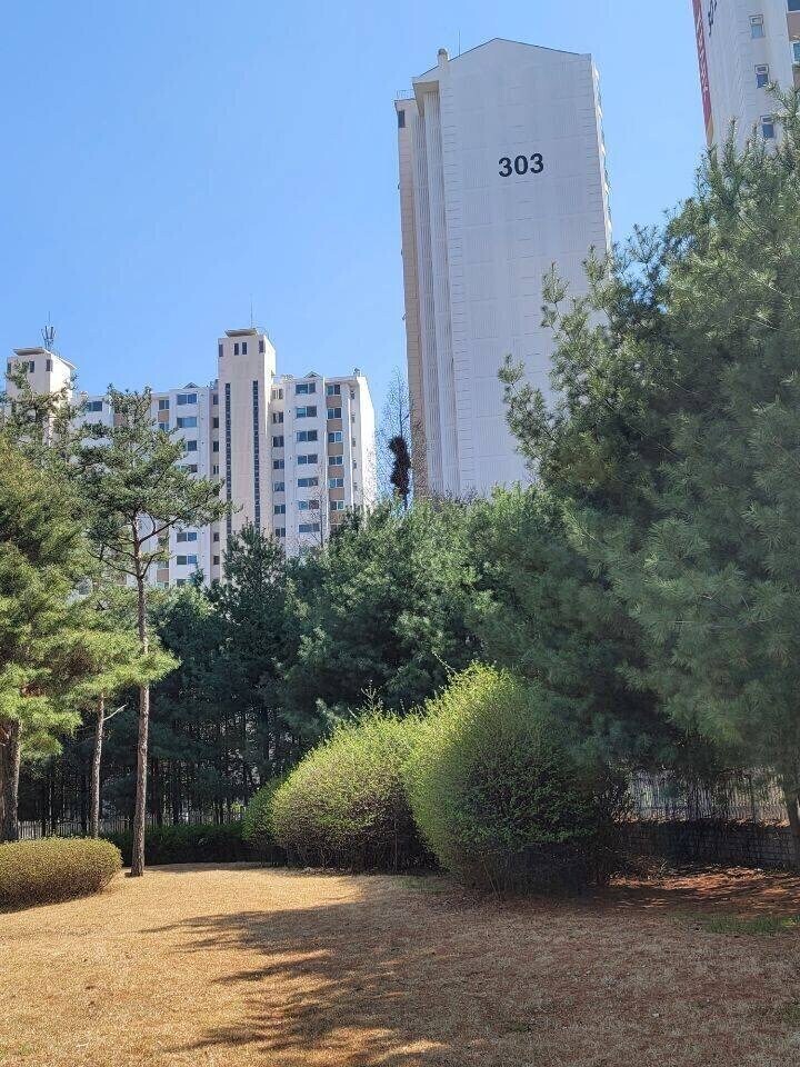 까치 아파트.jpg_1.jpg