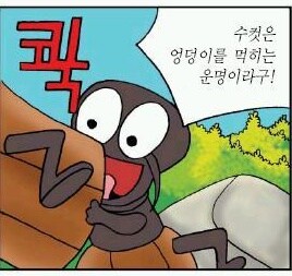 수컷은 엉덩이를 먹히는 운명...♡_1.jpg