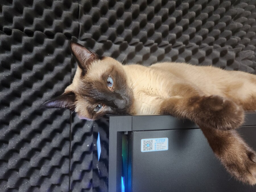 우리집 컴퓨터에는 고양이 한마리가 살고 있다!!!_1.jpg