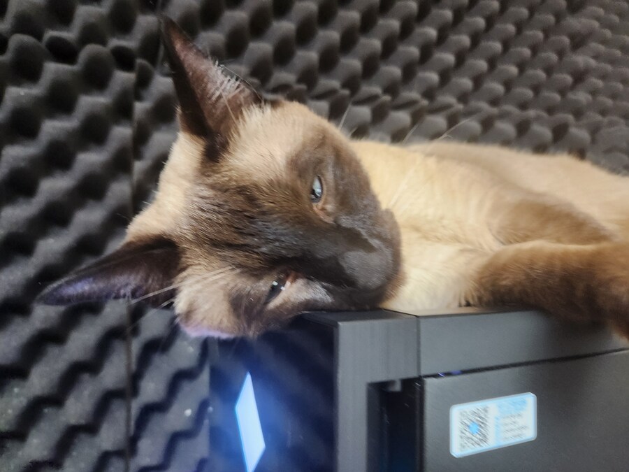 우리집 컴퓨터에는 고양이 한마리가 살고 있다!!!_3.jpg