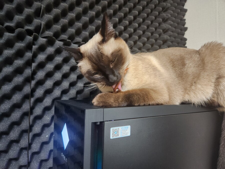 우리집 컴퓨터에는 고양이 한마리가 살고 있다!!!_4.jpg