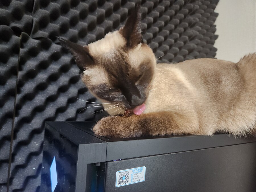우리집 컴퓨터에는 고양이 한마리가 살고 있다!!!_5.jpg