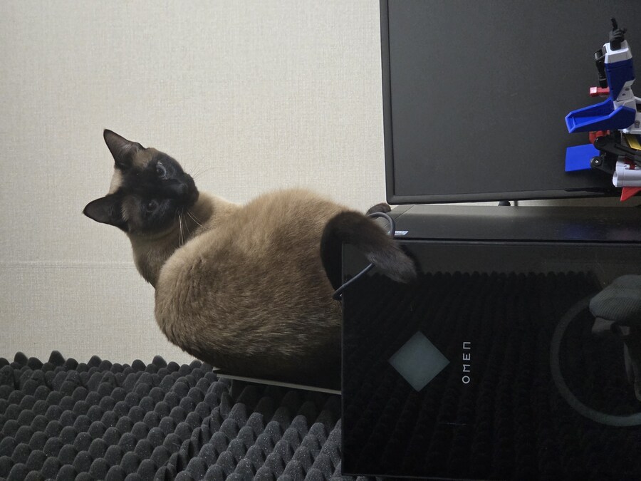 우리집 컴퓨터에는 고양이 한마리가 살고 있다!!!_9.jpg
