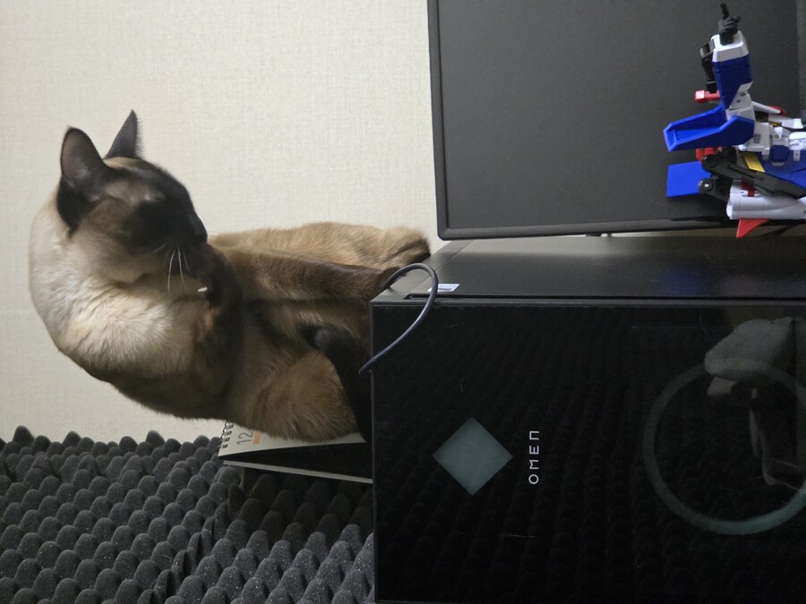 우리집 컴퓨터에는 고양이 한마리가 살고 있다!!!_11.jpg