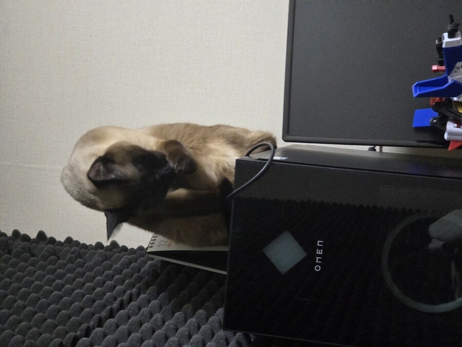 우리집 컴퓨터에는 고양이 한마리가 살고 있다!!!_12.jpg