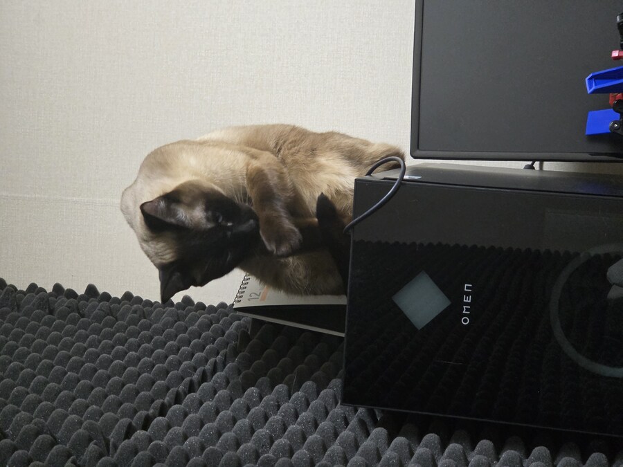 우리집 컴퓨터에는 고양이 한마리가 살고 있다!!!_13.jpg